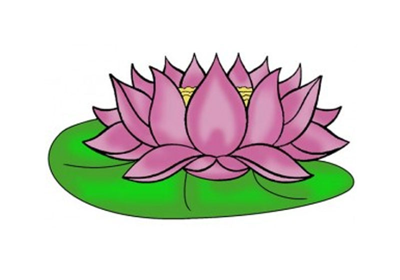 vẽ hoa sen đơn giản nhất