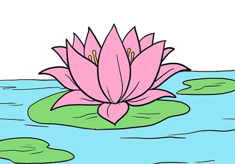 cách vẽ hoa sen đơn giản nhất