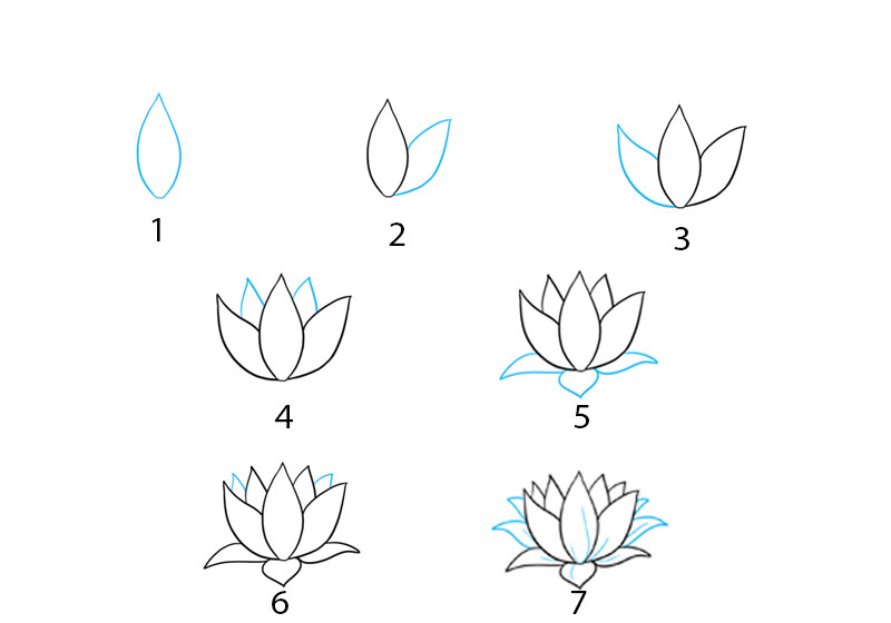 cách vẽ sen nhỏ