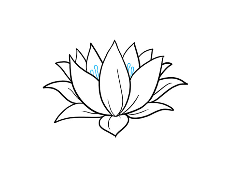 hướng dẫn vẽ hoa sen