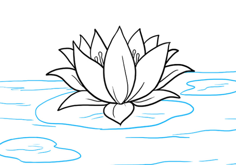 vẽ lá hoa sen